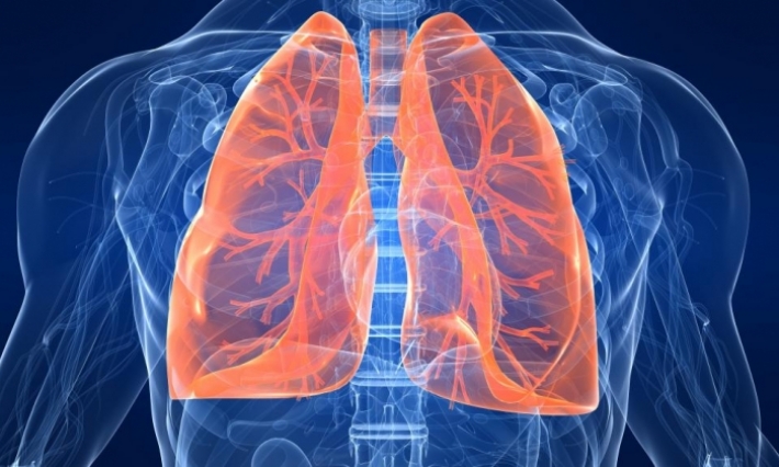 Journée mondiale de la pneumonie