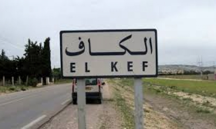      الكاف: تنظيم الملتقى الجهوي حول النفاذ الى المعلومة ومقاومة العنف المسلط على المرأة