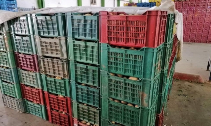 المنستير: حجز 5 أطنان من البطاطا في شاحنة متجهة نحو قابس لعدم توفر سندات النقل