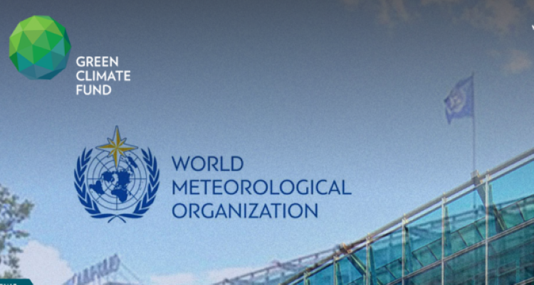 فيروس كورونا أثر إيجابيا على البيئة