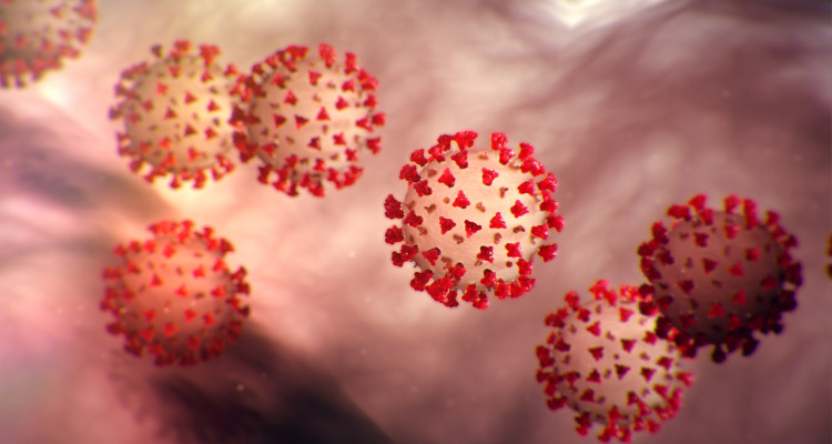 Coronavirus