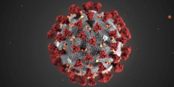 Coronavirus