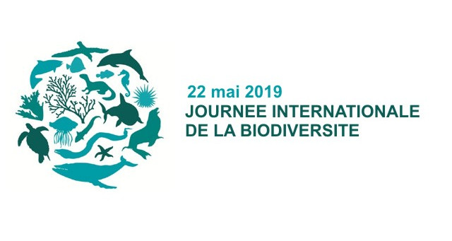 Journée Internationale de la biodiversité