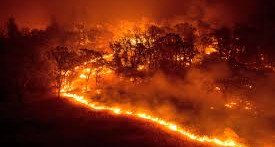 La Californie dévastée par les flammes