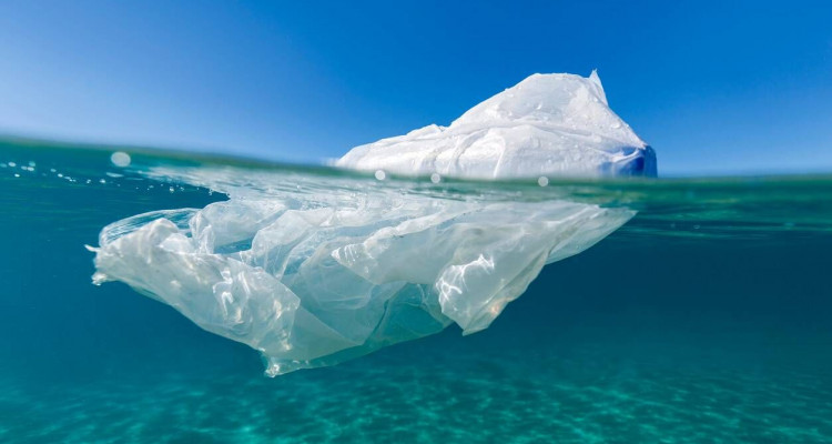 Journée mondiale sans sacs plastique