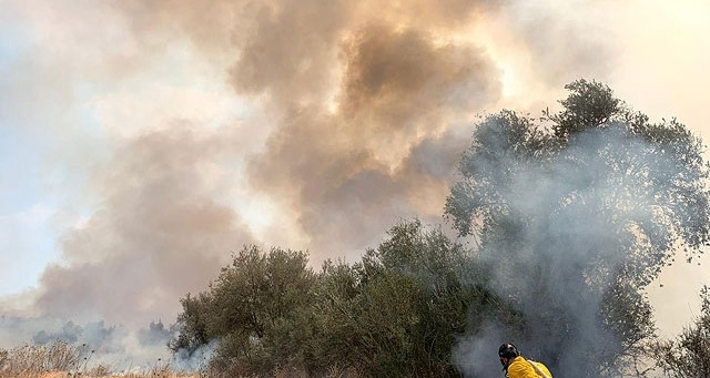 Frappes israéliennes sur Gaza après des tirs de ballons incendiaires