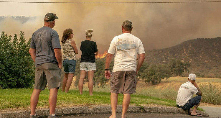 Californie : des feux ont ravagé plus de 8 000 km2