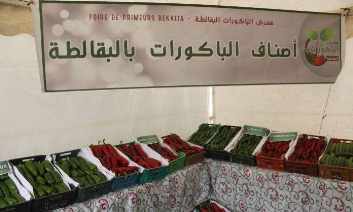 بعد انقطاع تواصل قرابة 40 سنة: استئناف تنظيم معرض الباكورات بالبقالطة 