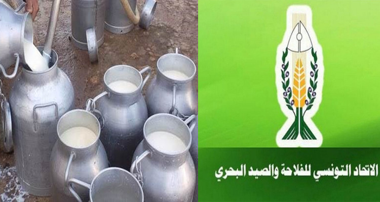 اتحاد الفلاحة يدعو الحكومة إلى سحب 30 مليون لتر من الحليب المصنّع
