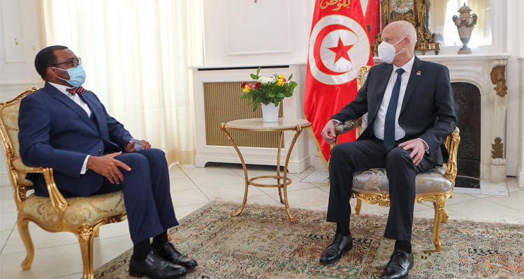 رئيس الجمهورية يلتقي رئيس مجموعة البنك الافريقي للتنمية