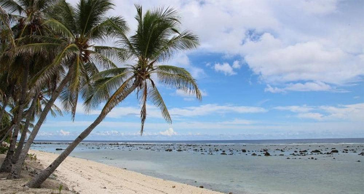 أول دولة تعلن خلوها من فيروس كورونا