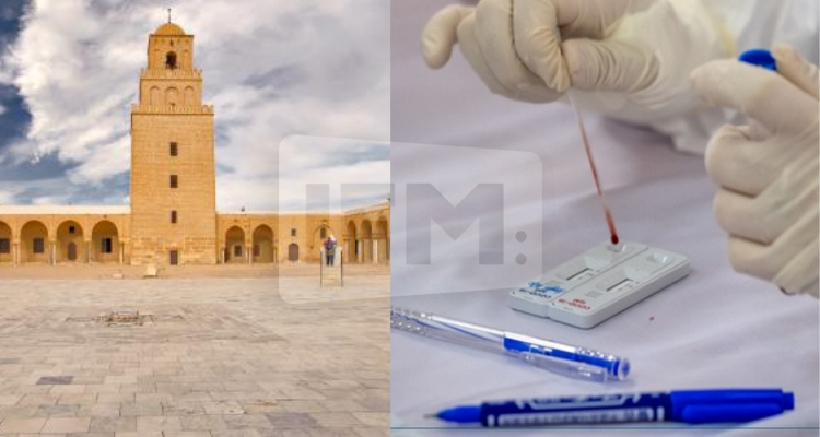 الهاشمي الوزير: التحاليل اثبتت وجود السلالة الهندية في القيروان