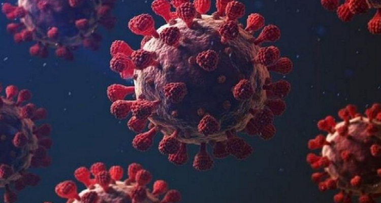 أصيل قصور الساف: اكتشاف أول إصابة بالسلالة  البريطانية في  تونس