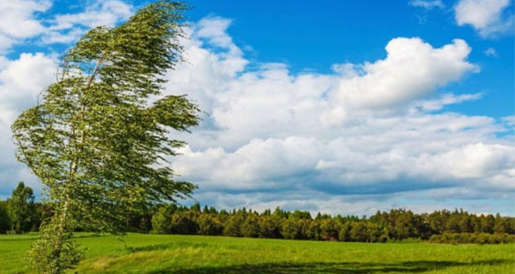 طقس اليوم : هبوب رياح خفيفة