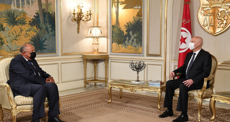 وزير الخارجية المصري ينقل رسالة الى قيس سعيّد من الرئيس عبد الفتاح السيسي