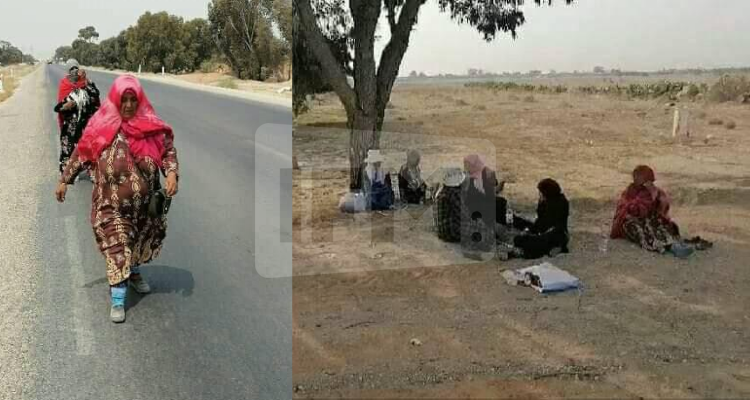 11 إمرأة في مسيرة  سيرا على الأقدام من قفصة لإيصال أصواتهنّ لرئيس الدولة