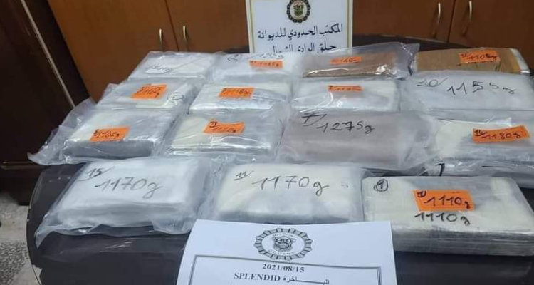 ميناء حلق وادي: إمرأة تحاول تهريب أكثر من 17 كغ من الكوكايين