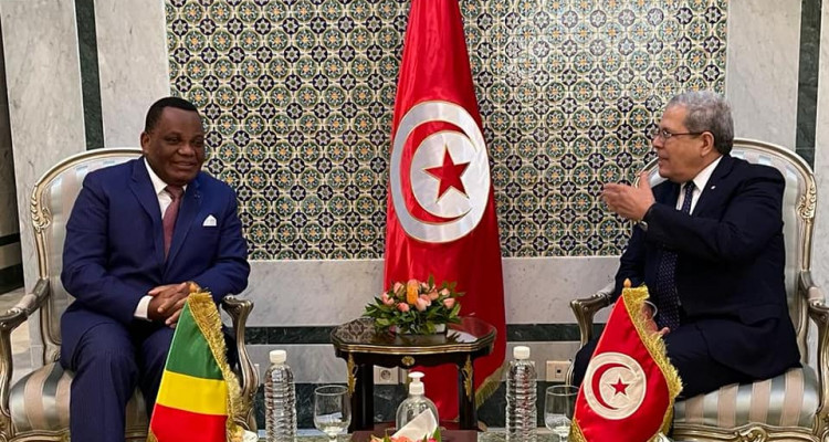 المسار السياسي في ليبيا محور لقاء وزير الخارجية ونظيره الكونغولي