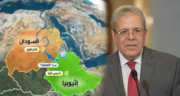 الجرندي يتحادث مع نظيره الأثيوبي بشأن أزمة ''سد النهضة''