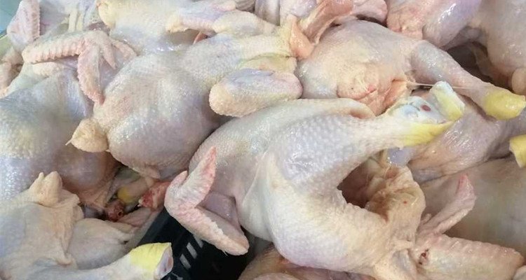 نابل: حجز 4 أطنان من لحوم الدواجن في ثلاث مذابح عشوائية