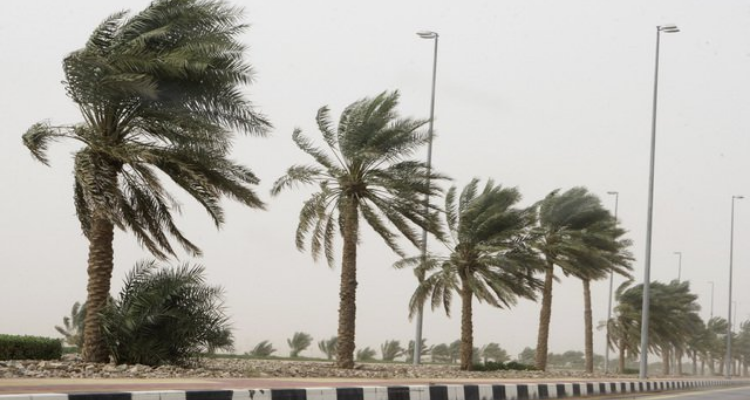 نشرة خاصة : رياح قوية بهذه المناطق