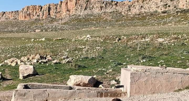 الكاف: الدولة تسترجع عقارا دوليا فلاحيا يمسح 5 هكتارات