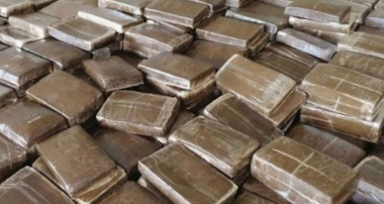 بنزرت: حجز 300 صفيحة ''زطلة'' داخل منزل