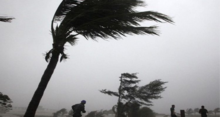 معهد الرصد الجوّي يحذّر هذه المناطق من هبوب رياح قوية جدّا