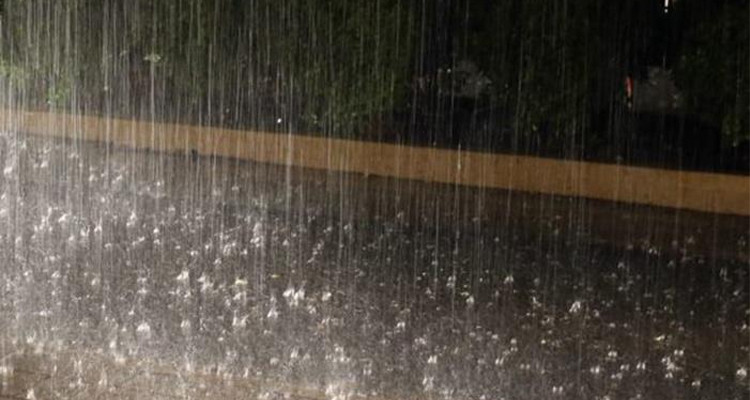 في نشرة محيّنة: تهاطل الأمطار حاليا بهذه الولايات