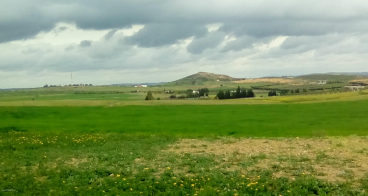 بن عروس: إسترجاع 17 هكتارا من الأراضي الدولية