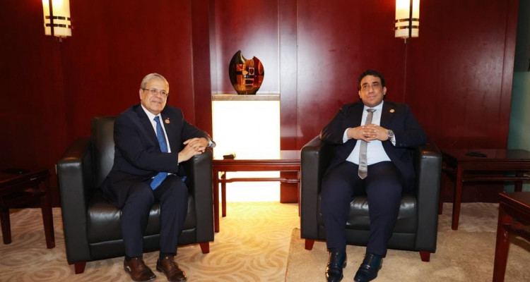 تطور المسار السياسي  محور لقاء الجرندي ورئيس المجلس الرئاسي الليبي