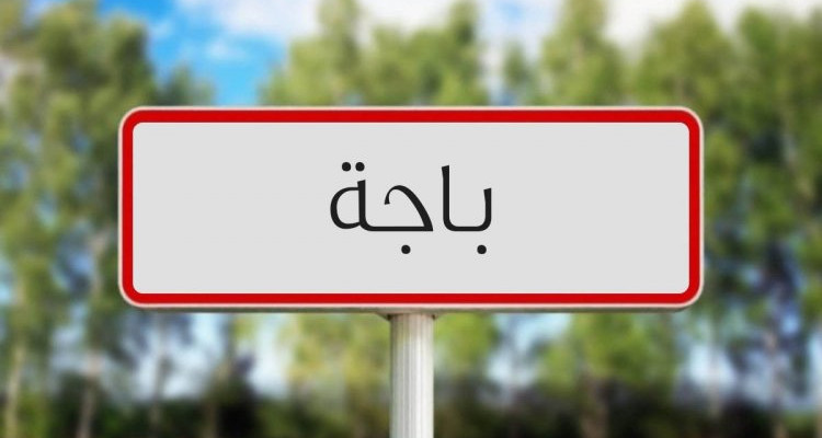 انهاء مهام المندوب الجهوي لشؤون المرأة والأسرة بولاية باجة