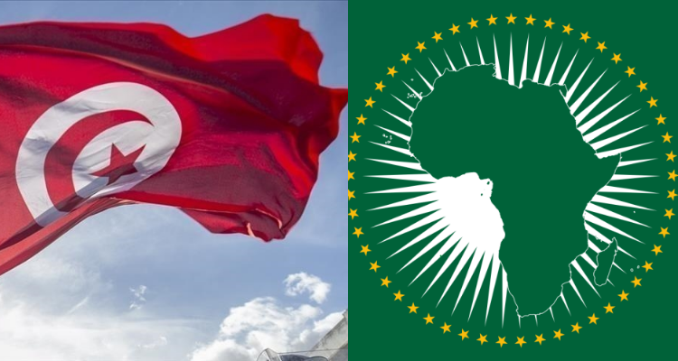 انتخاب تونس عضوا في مجلس السلم والأمن التابع للإتحاد الإفريقي