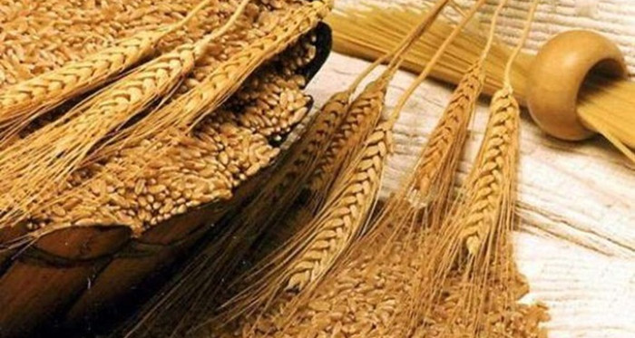 روسيا تستأنف تصدير القمح من موانئها
