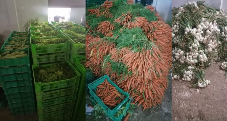 اريانة: حجز 13,3 طن من الخضر داخل مستودع للتعليب