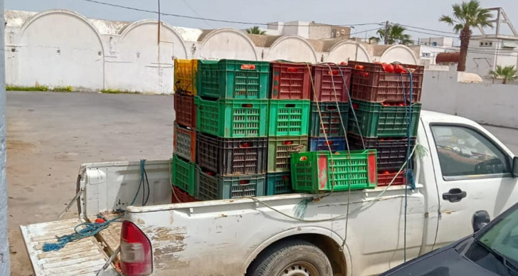نابل: ضبط شاحنة محمّلة بالطماطم الطازجة (صور)