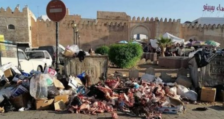 مع ارتفاع الحرارة: ازمة النفايات تتفاقم مجددا في صفاقس