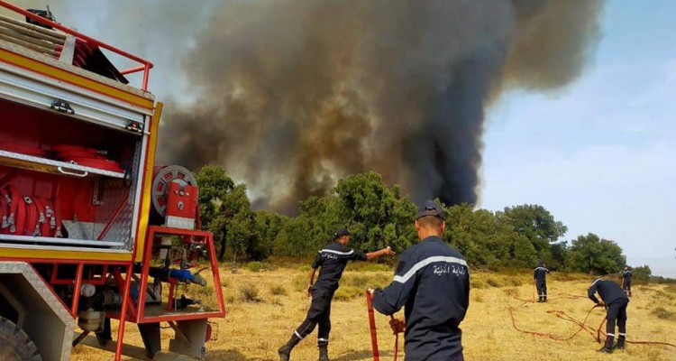 جندوبة: السيطرة على حريق في جبل زيتون ببوسالم