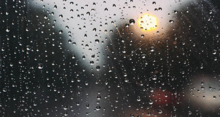 اليوم: تواصل نزول الغيث النافع بهذه المناطق