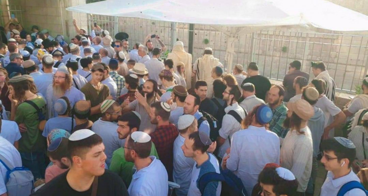 مستوطنون إسرائيليون يقتحمون المسجد الأقصى