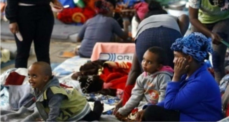 وزيرة المرأة: عدد الأطفال المهاجرين في تونس يفوق 1800 طفلا 