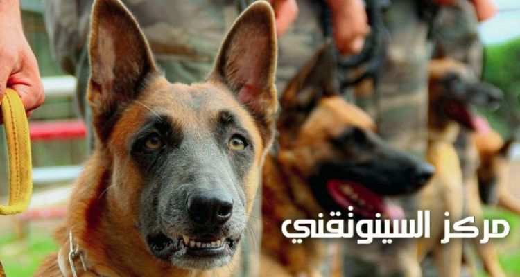 المركز العسكري السينوتقني: فضاء لصنع أبطال من نوع خاصّ