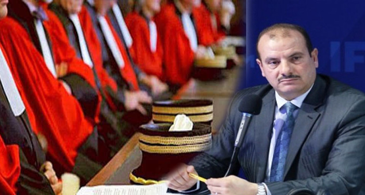 أنس الحمايدي: "نسبة المشاركة في الإضراب العام للقضاة بلغت 99 بالمائة"