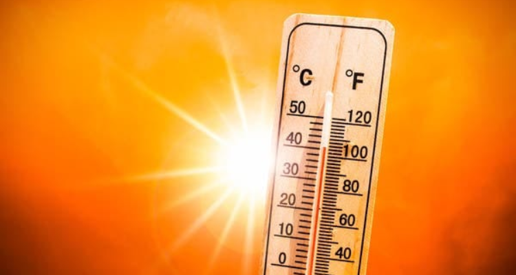 اليوم: الحرارة القصوى تعدّل ارقامها القياسية بتوزر ومدنين