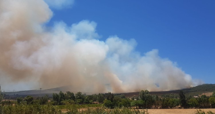 بنزرت: نشوب حريق بالمنطقة الغابية ''طمرة' بسجنان