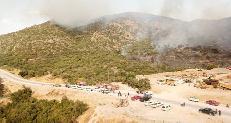 الداخلية: المجهودات متواصلة للسيطرة على  حريق جبل برقو واجلاء 28 شخصا