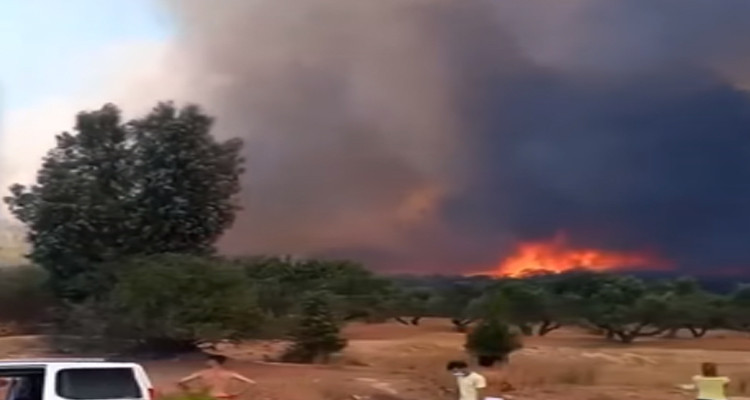 الطريق السيارة تونس -الحمامات : دخان كثيف يحجب الرؤية على مستوى مرناق