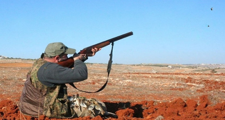 تعليق ممارسة الصيد البري في كامل المناطق الغابية يوم 25 جويلية