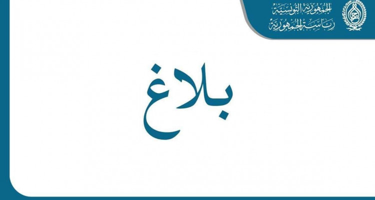 سعيّد يطلب مدّه بقائمة محينة في الأشخاص المتمتعين بجوزات سفر دبلوماسية