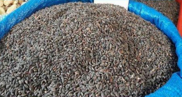 المنستير: حجز 2 طن من ''الزقوقو'' على متن شاحنة